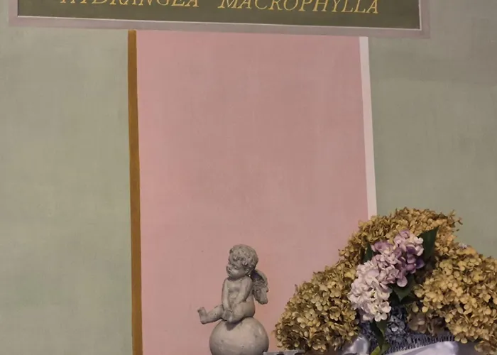 Apartment Casa Delle Ortensie *